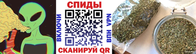 MEGA ссылки  цены наркотик  Покров  БУТИРАТ буратино 