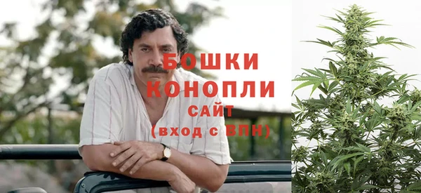 твердый Осташков